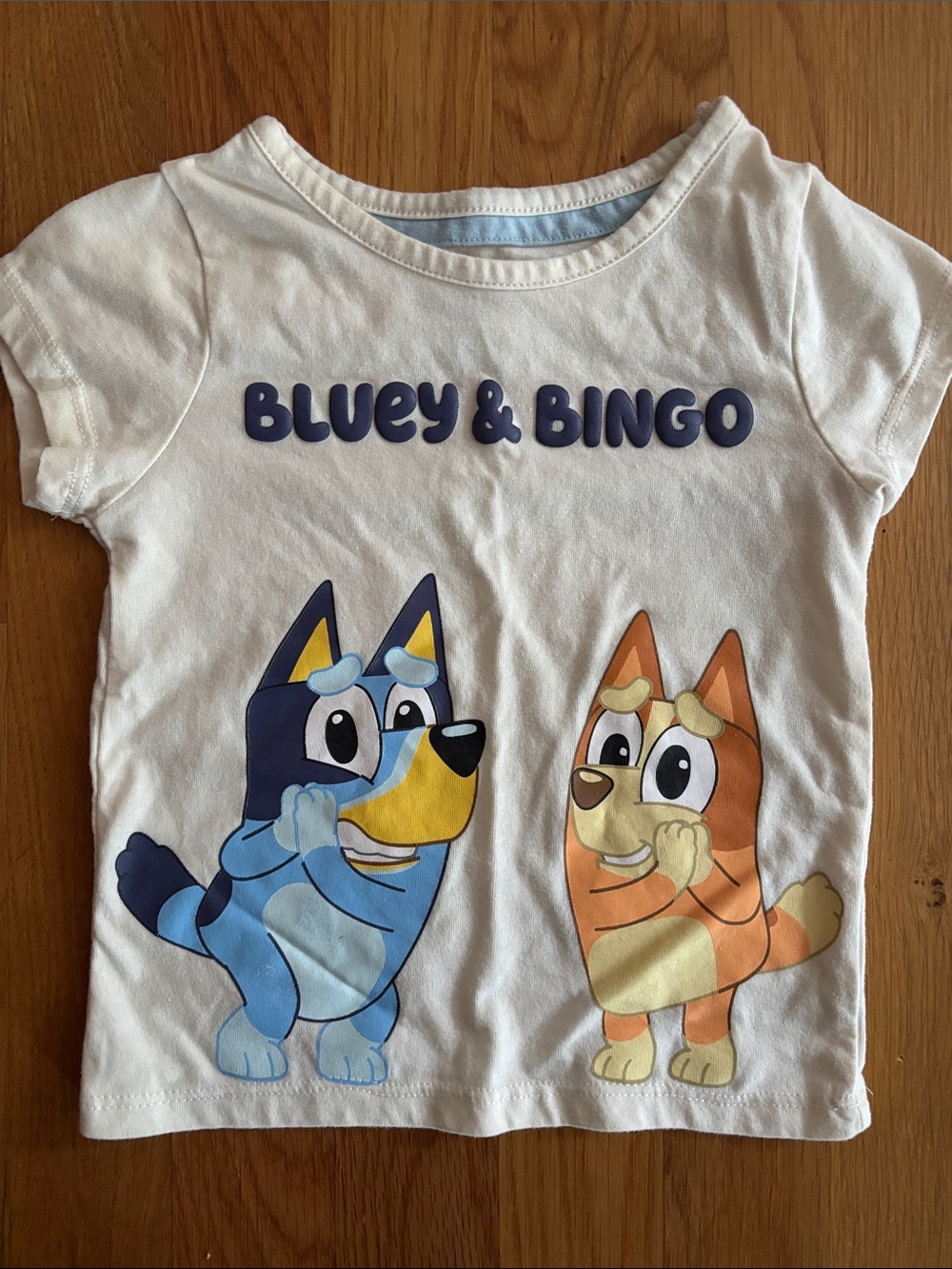 2T Bluey and Bingo T-Shirt
